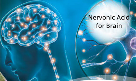 What is nervonic acid powder? Benefits for Brain Health
